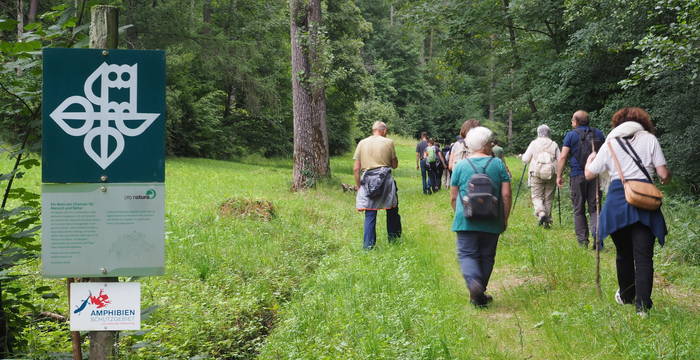 Exkursionsteilnehmer im Naturschutzgebiet_1920x960_kathrinwittgen